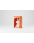 Nijntje Bundle of Light - Mini lampje MrMaria