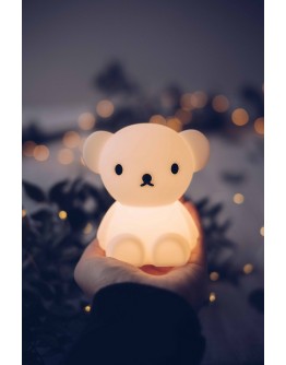 Bear Boris Bundle of Light - Mini lampje MrMaria