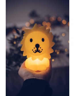 Lion Bundle of Light - Mini lampje MrMaria