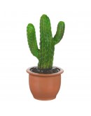 Heico lamp cactus in pot - Egmont Toys