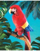 Folkmanis handpop papegaai