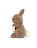 Jellycat knuffel konijn Messenger Bunny