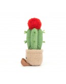 Jellycat knuffel plant Amuseable Moon cactus