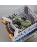 KIDYWOLF KIDYEARS Konijn – Kindvriendelijke Koptelefoon met Konijnenoortjes