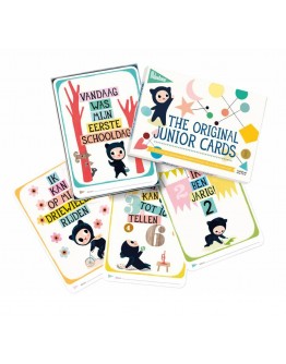 Milestone Original toddler cards - Junior NL versie