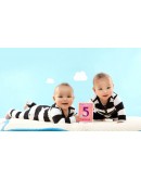 Milestone baby cards - Twins NL versie