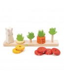 Tender Leaf toys houten speelgoed wortelen tellen