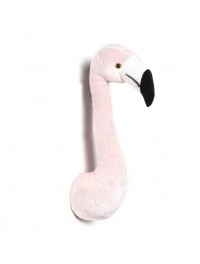 Wild and soft flamingo