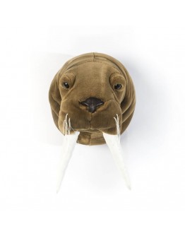 Wild and soft dierenkop walrus Jacob - OUT